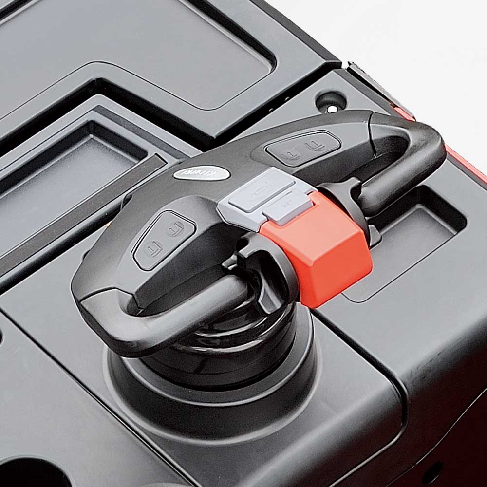 BIGA A LITIO SERIE A CBD20 - immagine 4